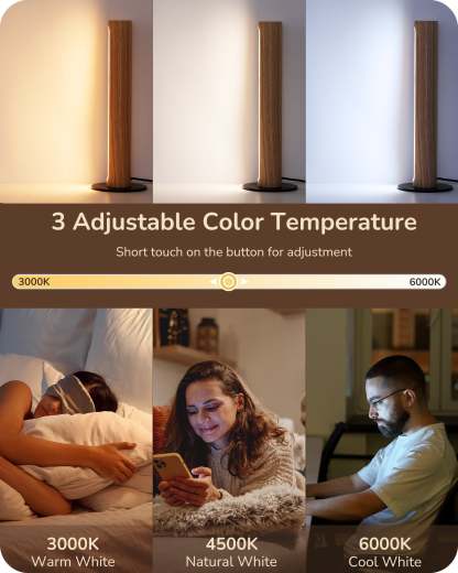 EDISHINE 2 Pack LED Table Lamp, Stepless Dimmable & Memory Function, 3 Color Temperature, Touch Switch-ZHLTL12M2