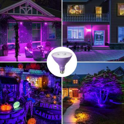 EDISHINE PAR38 Dimmable 18W(120W Equivalent) E26 Base Purple Flood Light Bulb, 2 Pack-HLBP38B