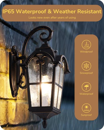 EDISHINE Dusk to Dawn Outdoor Wall Lights-F2HOWL06N