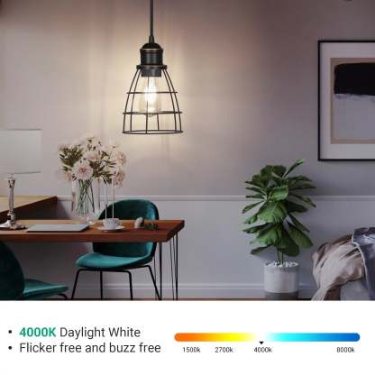 EDISHINE 4-Pack 7W 4000K 800LM ST19 Non-Dimmable LED Edison Bulb E26 Base-HNST19B1