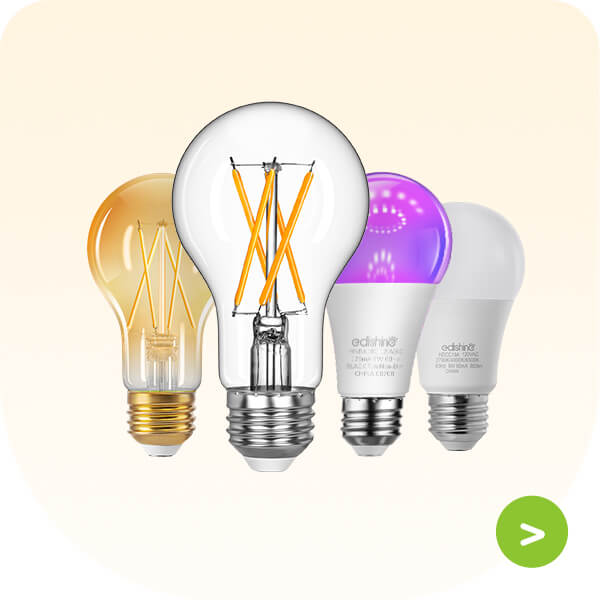 A19 Light Bulb