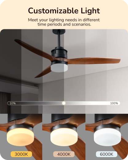 EDISHINE 52 Inch Remote Control Ceiling Fans With Lights-HCFM01A-B2B
