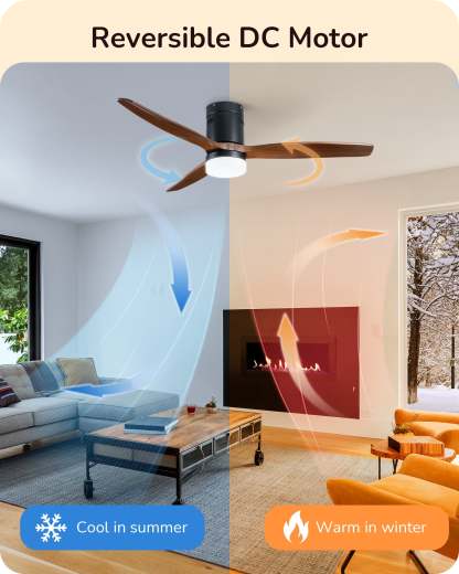 EDISHINE 52 Inch Remote Control Ceiling Fans With Lights-HCFM01B-B2B