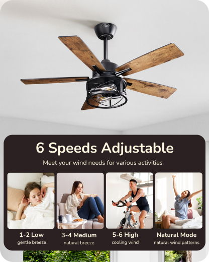 EDISHINE 42 in Farmhouse Ceiling Fans with Lights-HCFR01F