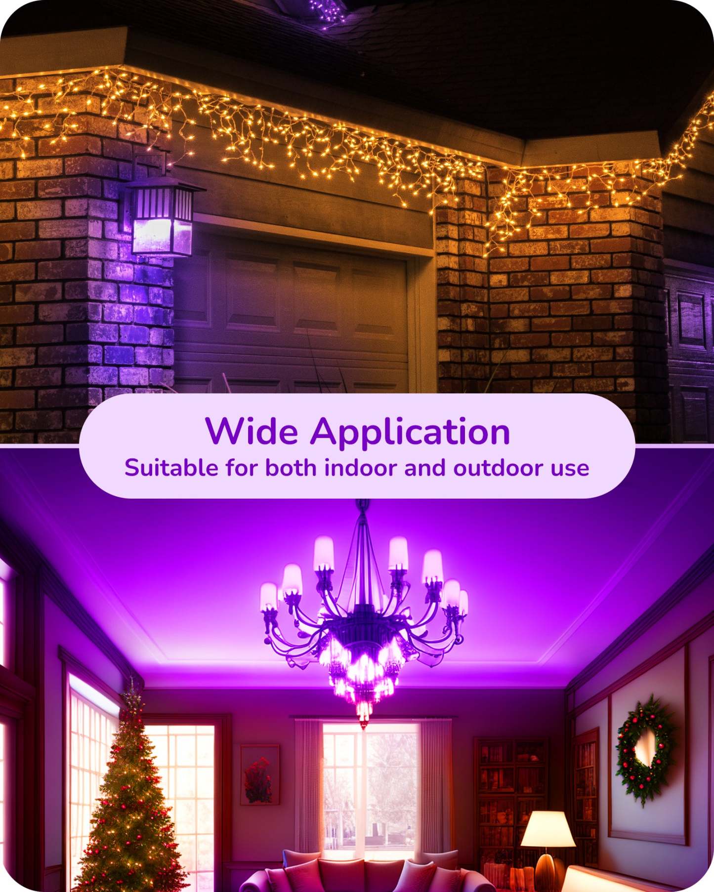 EDISHINE 6 Pack Dimmable Purple Light Bulb-HDCC35A