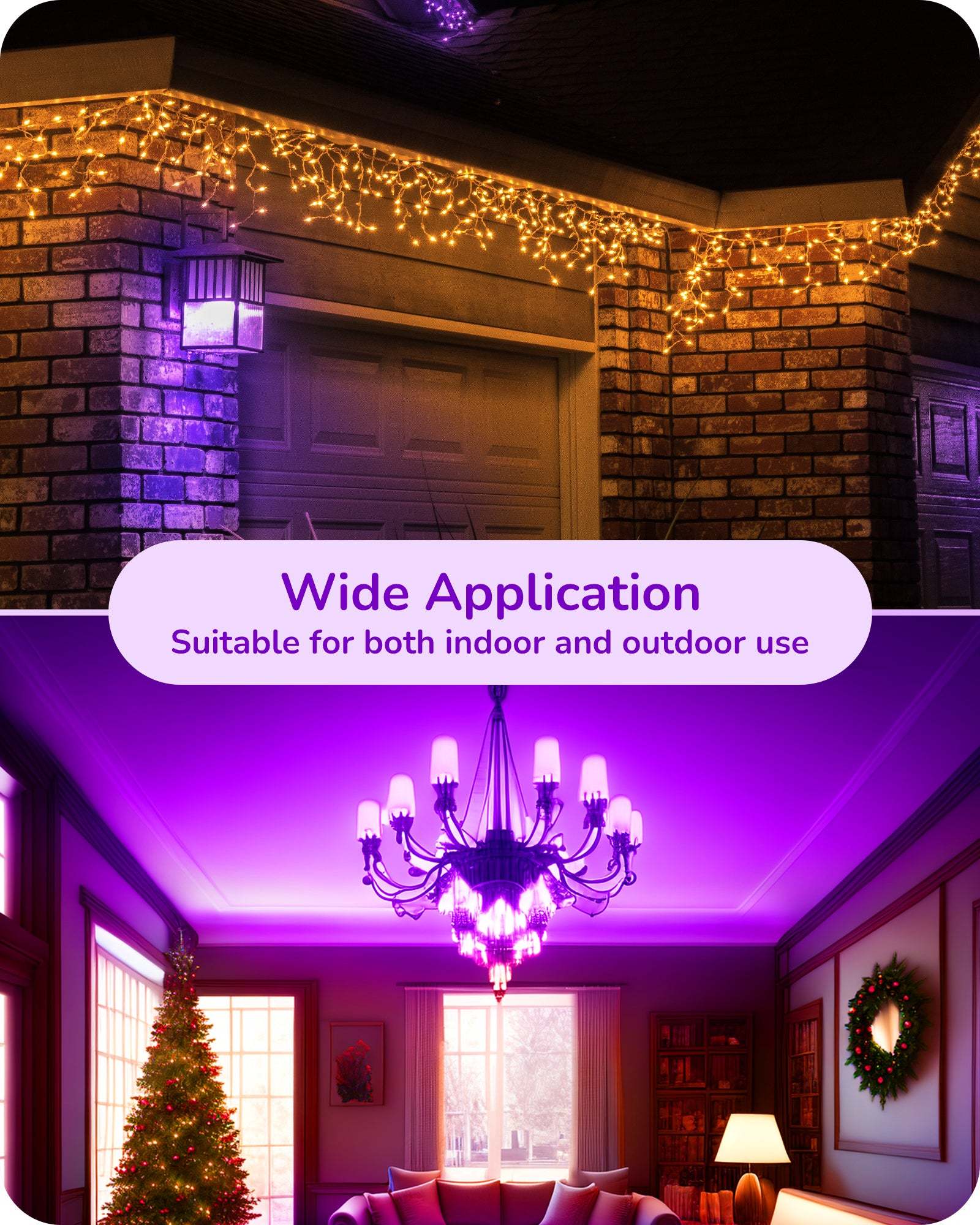 EDISHINE 6 Pack Dimmable Purple Light Bulb-HDCC35A