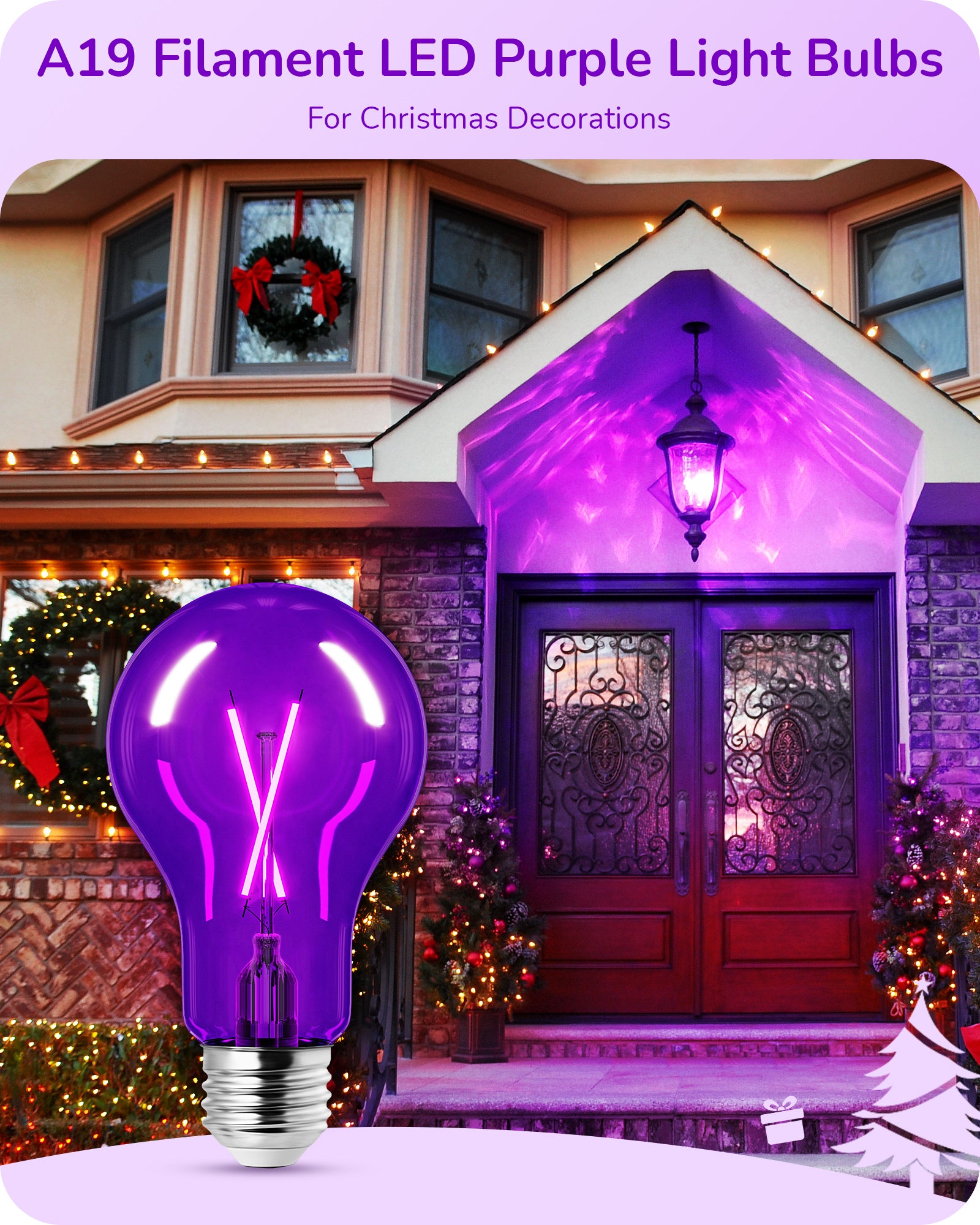 EDISHINE 4 Pack Dimmable Purple Light Bulb-HDCF19A