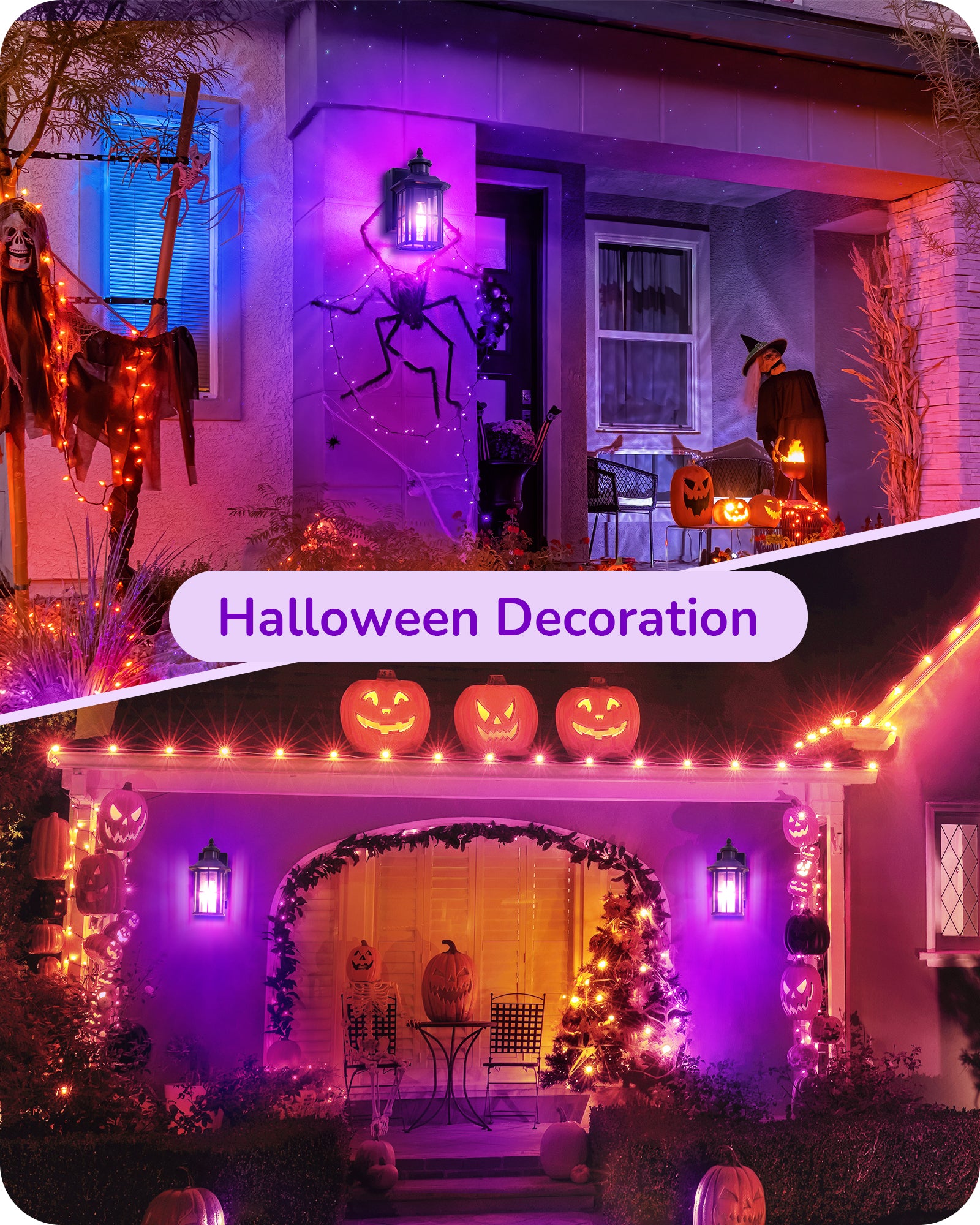 4-Pack Purple Halloween high quality Lights