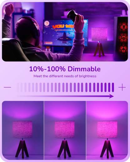 EDISHINE 4 Pack Dimmable Purple Light Bulb-HDCF19A