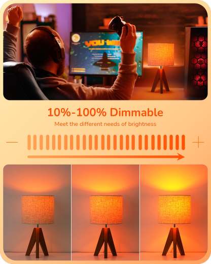 EDISHINE 4 Pack Dimmable Orange Light Bulb-HDCF19B-B2B