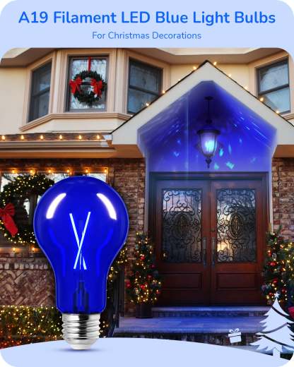 EDISHINE 4 Pack Dimmable Blue Light Bulb-HDCF19H-B2B