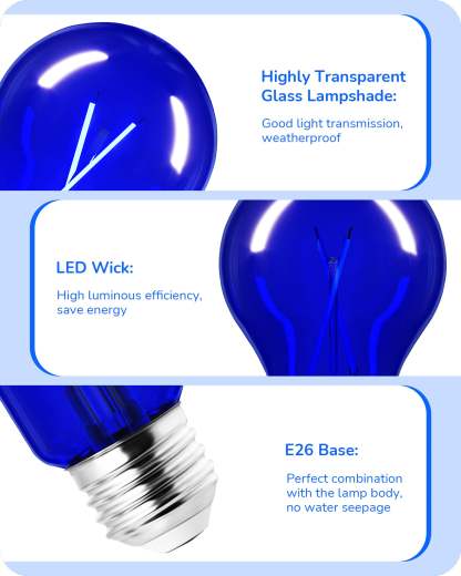 EDISHINE 4 Pack Dimmable Blue Light Bulb-HDCF19H-B2B