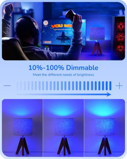 EDISHINE 4 Pack Dimmable Blue Light Bulb-HDCF19H-B2B