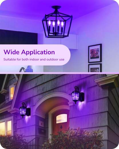 EDISHINE 6 Pack Dimmable Purple Light Bulb-HDCF35A