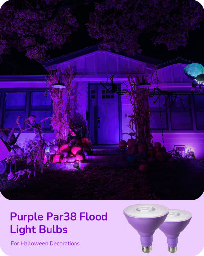 EDISHINE 4 Pack Halloween Dimmable PAR38 Purple LED Flood Light Bulbs-HDCP38F