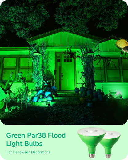EDISHINE 4 Pack Halloween Dimmable PAR38 Green LED Flood Light Bulbs-HDCP38L