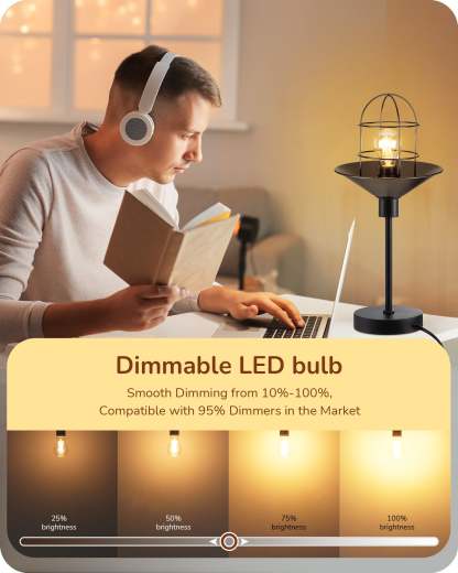 EDISHINE 6 Pack Vintage A19 Dimmable LED Bulbs-HDFA19A