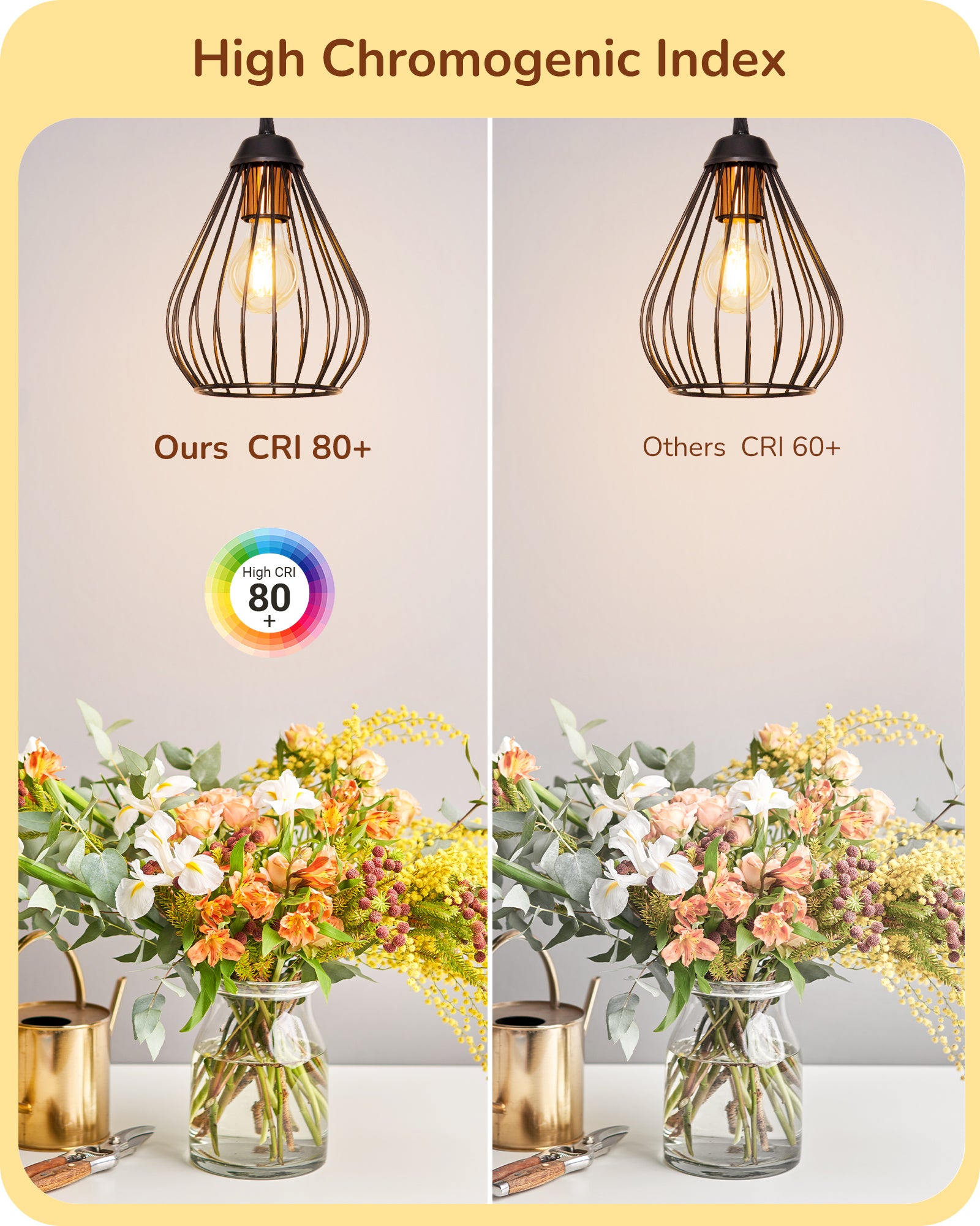 EDISHINE 6 Pack Vintage A19 Dimmable LED Bulbs-HDFA19A