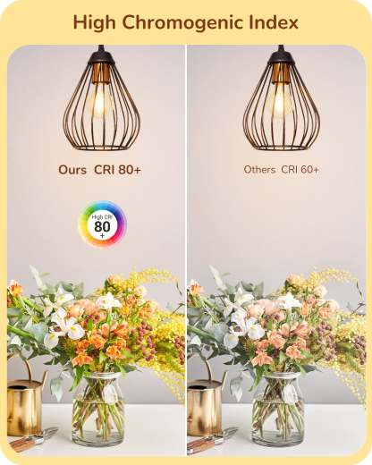 EDISHINE 6 Pack Vintage A19 Dimmable LED Bulbs-HDFA19A