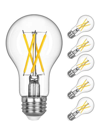EDISHINE 6 Pack Vintage A19 Dimmable LED Edison Bulbs-HDFA19B