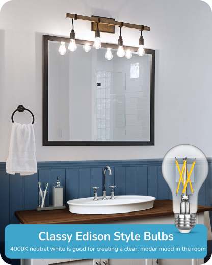 EDISHINE 6 Pack Vintage A19 Dimmable LED Edison Bulbs-HDFA19B