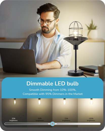 EDISHINE 6 Pack Vintage A19 Dimmable LED Edison Bulbs-HDFA19B