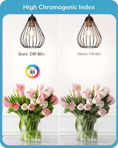 EDISHINE 6 Pack Vintage A19 Dimmable LED Edison Bulbs-HDFA19B