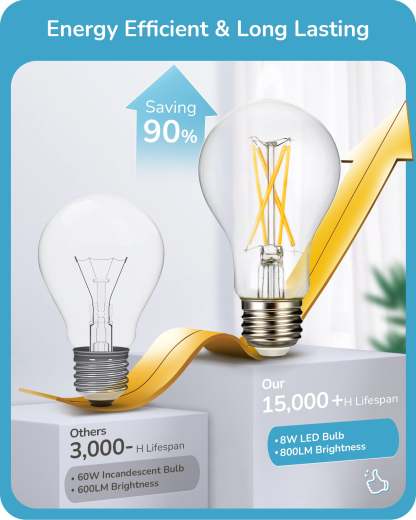 EDISHINE 6 Pack Vintage A19 Dimmable LED Edison Bulbs-HDFA19B