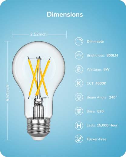 EDISHINE 6 Pack Vintage A19 Dimmable LED Edison Bulbs-HDFA19B