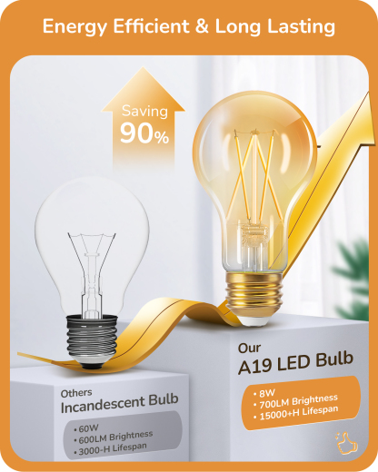 EDISHINE 6 Pack Vintage LED Edison Bulbs -HDFA19C