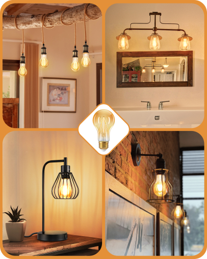 EDISHINE 6 Pack Vintage LED Edison Bulbs -HDFA19C