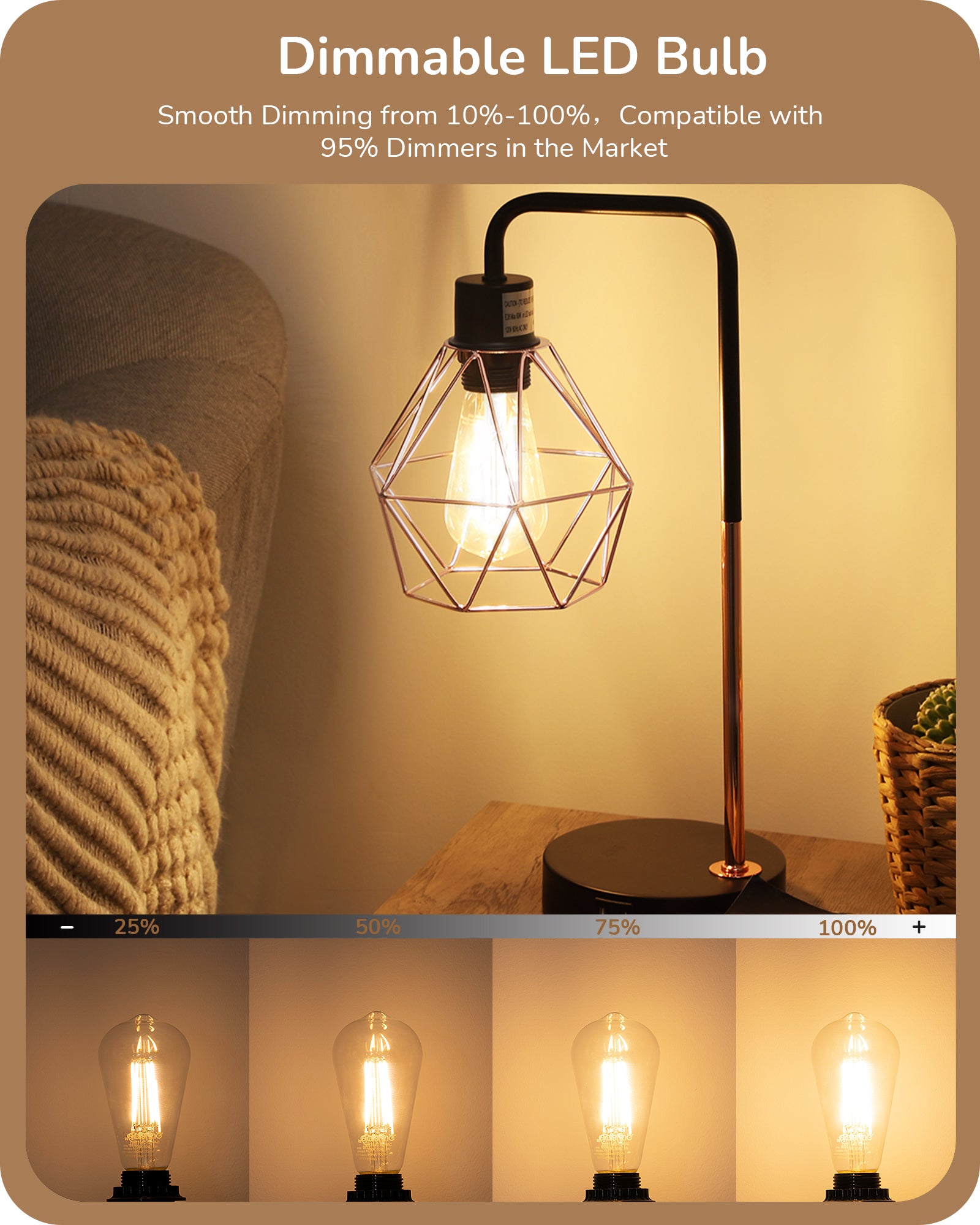 EDISHINE 8W 2700K 700LM Warm White Light Bulb, 6 Pack-HDST64C-B2B