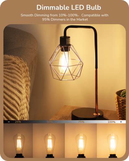 EDISHINE 8W 2700K 700LM Warm White Light Bulb, 6 Pack-HDST64C-B2B
