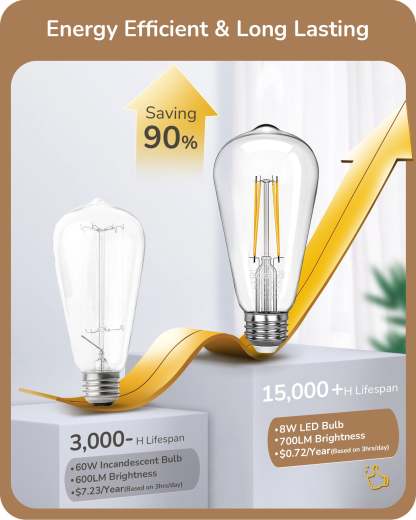 EDISHINE 8W 2700K 700LM Warm White Light Bulb, 6 Pack-HDST64C-B2B