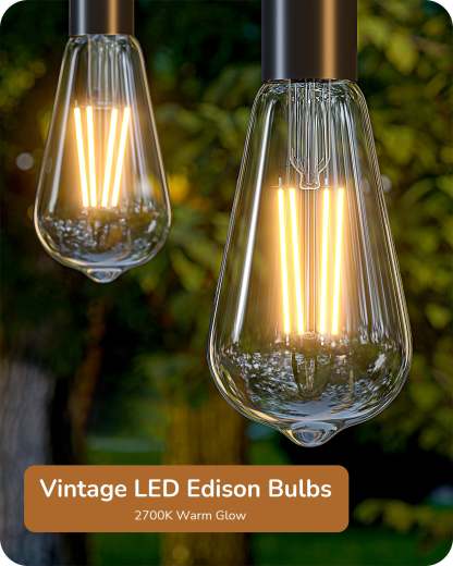 EDISHINE 8W 2700K 700LM Warm White Light Bulb, 6 Pack-HDST64C-B2B