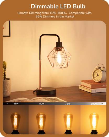 EDISHINE 8W 2200K 700LM Amber Warm Light ST64 Dimmable Led Light Bulb with 240° Beam Angle, 6 Pack-HDST64E-B2B