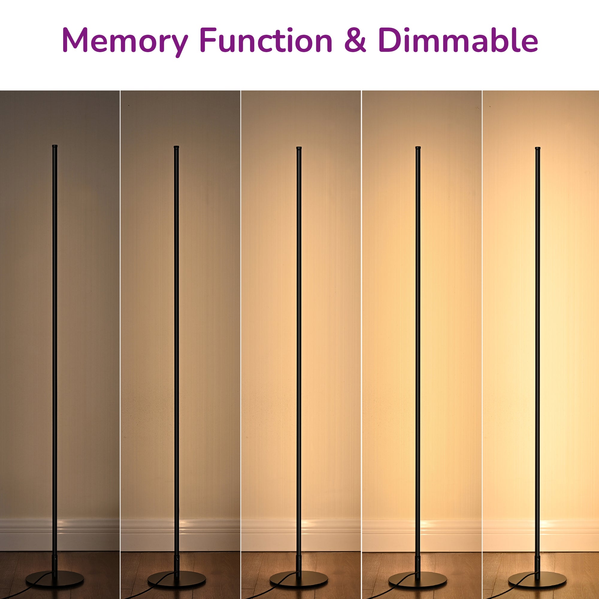 EDISHINE LED Corner Modern Floor Lamp with Remote Set of 2-HFLCB2B-B2B