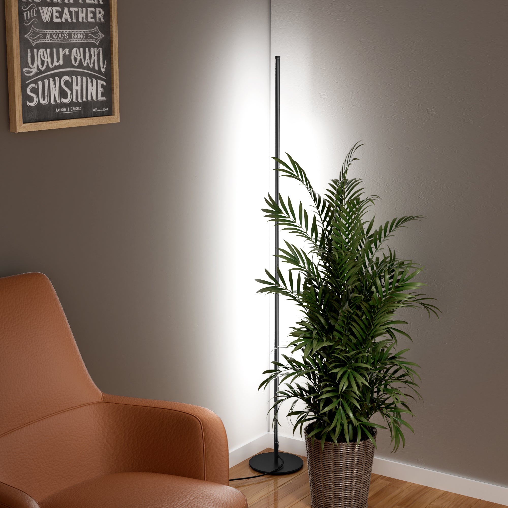 EDISHINE LED Corner Modern Floor Lamp with Remote Set of 2-HFLCB2B-B2B