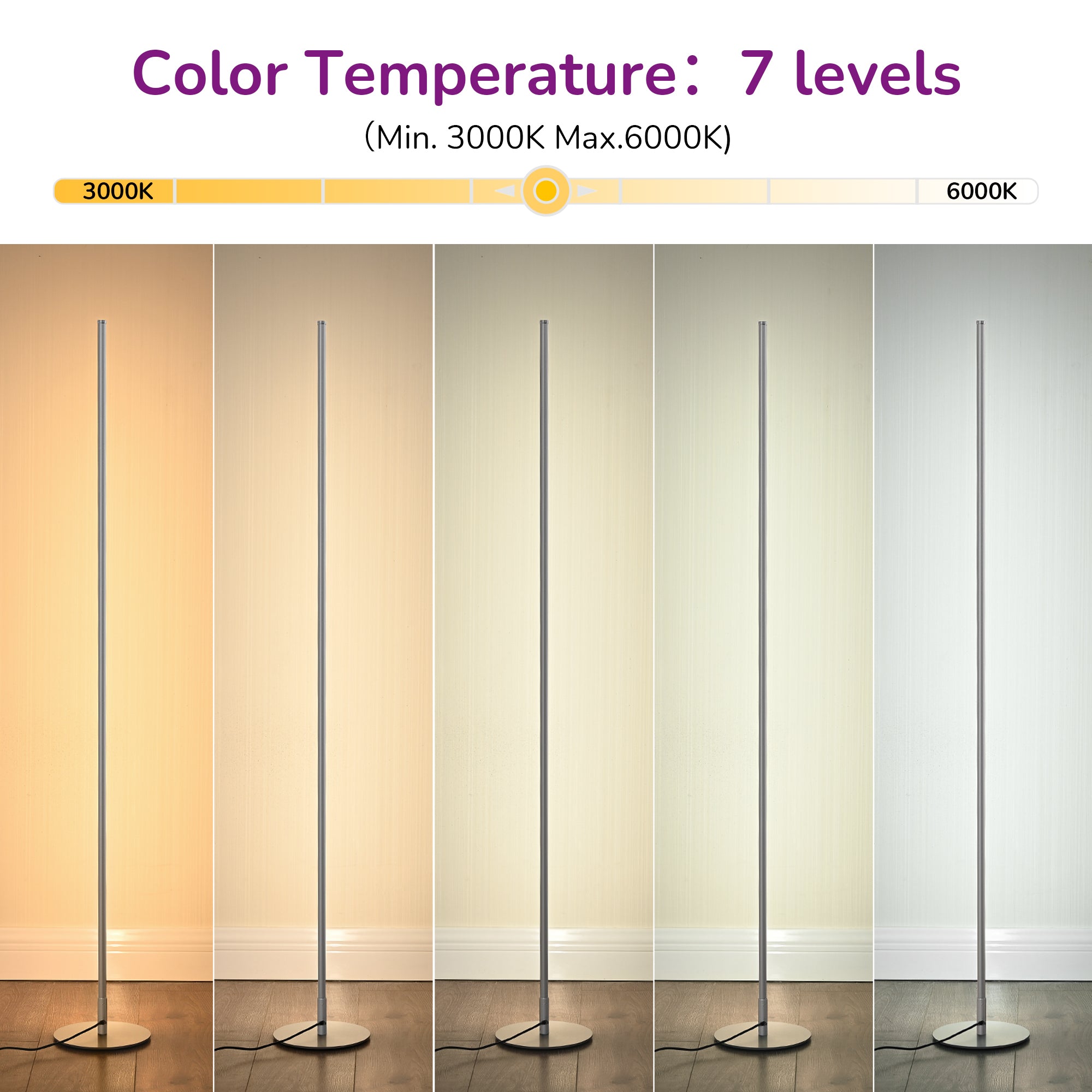 EDISHINE LED Corner Modern Floor Lamp with Remote Set of 2-HFLCB2C-B2B