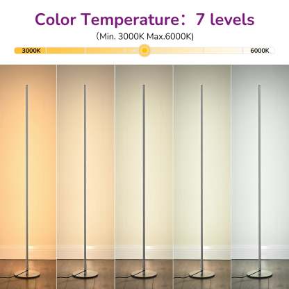 EDISHINE LED Corner Modern Floor Lamp with Remote Set of 2-HFLCB2C-B2B