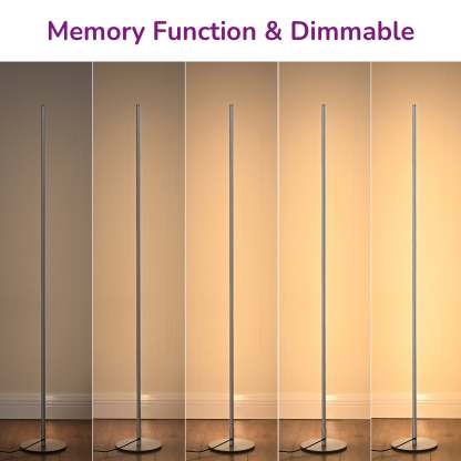 EDISHINE LED Corner Modern Floor Lamp with Remote Set of 2-HFLCB2C-B2B