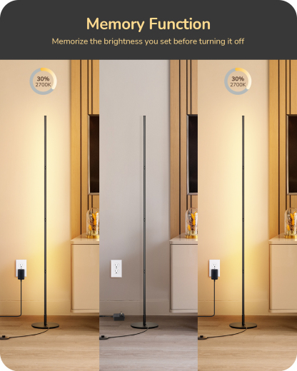EDISHINE Set of 2 57.5" Modern Corner Floor Lamp with Remote Control-HFLCB2K
