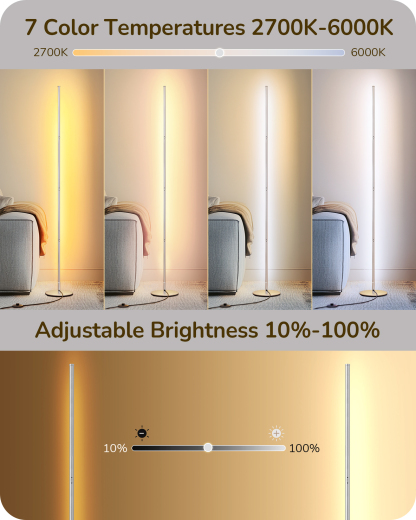 EDISHINE Set of 2  57.5" Dimmable LED Floor Lamp with Remote Control, Silver-HFLCB2L