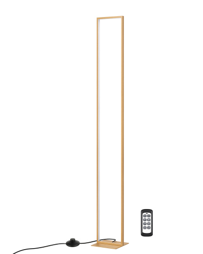 EDISHINE 55" Modern Minimalist LED Floor Lamp, Gold-HFLCD1A
