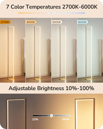 EDISHINE 55" Modern Minimalist LED Floor Lamp, Gold-HFLCD1A