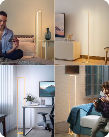 EDISHINE 55" Modern Minimalist LED Floor Lamp, Gold-HFLCD1A