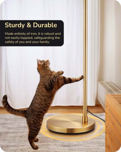EDISHINE 78.3" Modern Floor Lamp with Rotatable LampHead, Gold/Black-HFLDB1A