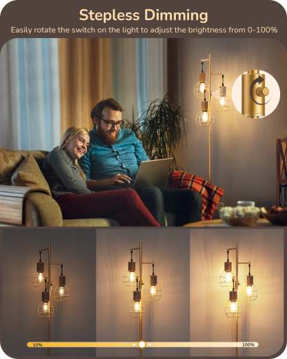 EDISHINE Dimmable Farmhouse Floor Lamp with 3 LED Edison Bulbs, Gold-HFLDC1A