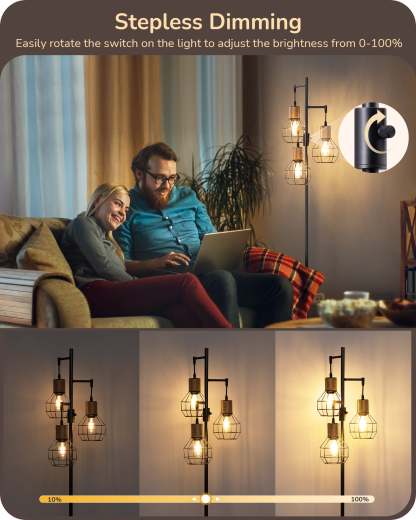 EDISHINE Dimmable Farmhouse Floor Lamp with 3 LED Edison Bulbs, Black-F1HFLDC1B