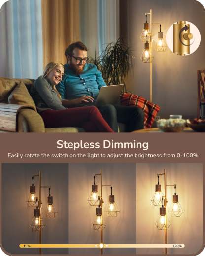 EDISHINE Dimmable Industrial Floor Lamp with 3 LED Edison Bulbs, Gold-HFLDC2A-B2B
